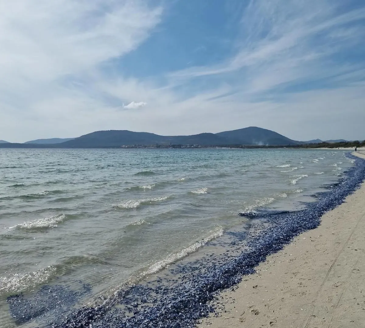 Lidoisola, Aria Condizionata,Posto Auto Privato, Ascensore Alghero Italië